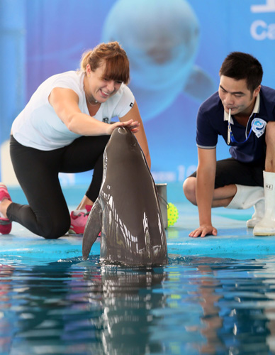 了新的活力 了新的活力