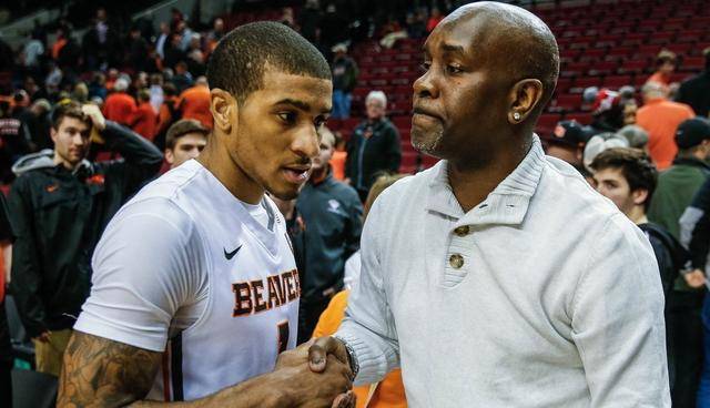 高水平赛事 高水平赛事