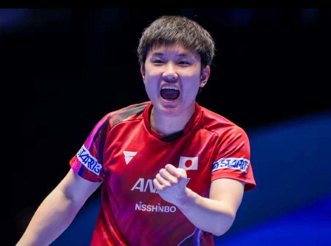 的苏格兰老 的苏格兰老